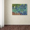 Trademark Fine Art Vincent van Gogh 'Irises 1889' Canvas Art, 24x32 AA01265-C2432GG